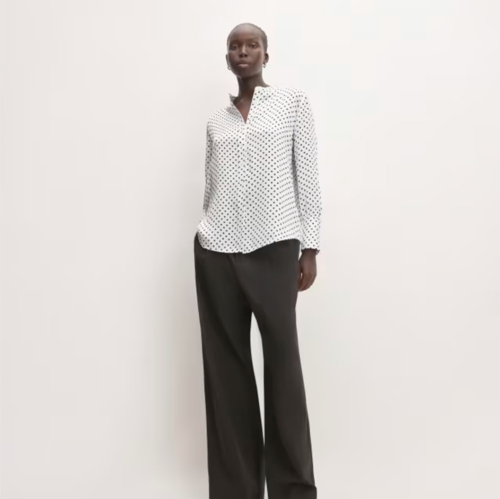 Everlane Hammered Satin Popover Shirt nwt